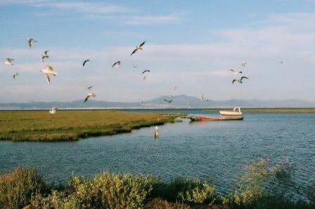 DELTA KALAMAS