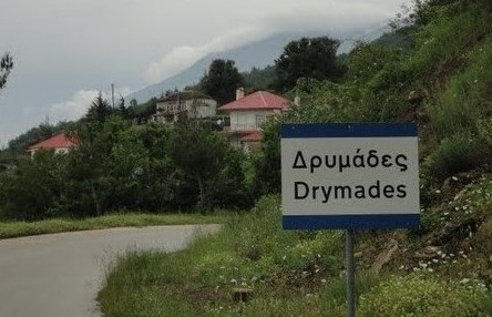 DRYMADES POGONIOY14