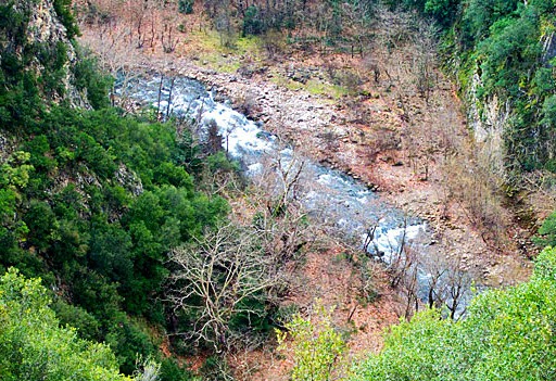 POTAMOS TOPIO
