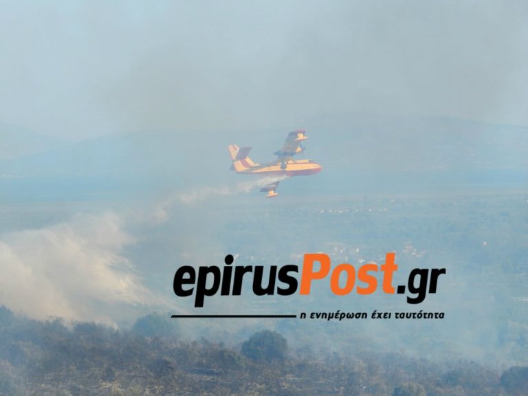 ARTA F2 6 7
