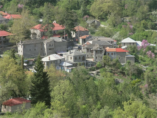 MOLISTA 1 7