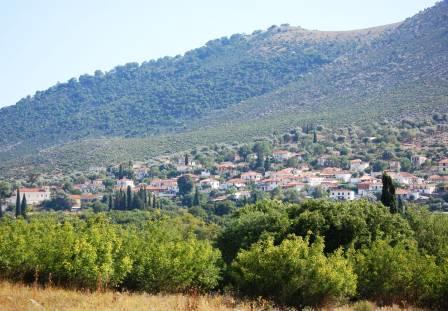 XRYSOBITSA 14