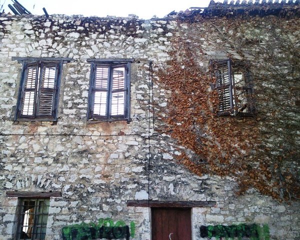 ARXONTIKO PAPAKOSTAS14
