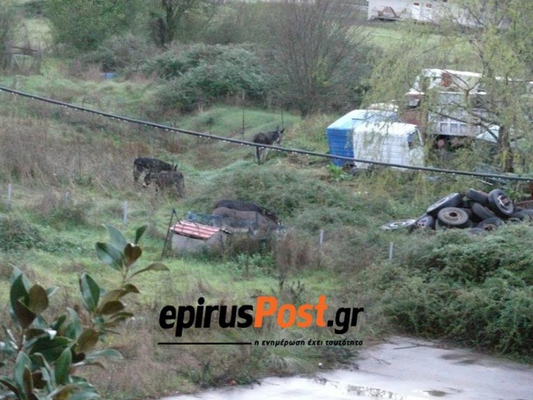 MPAFRA1