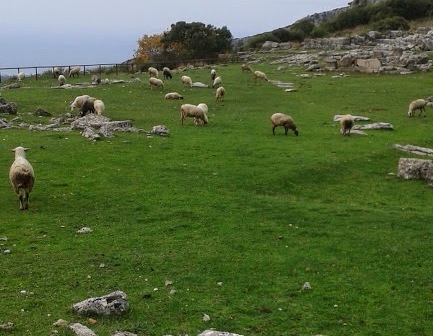 KASSOPH MANTRI1