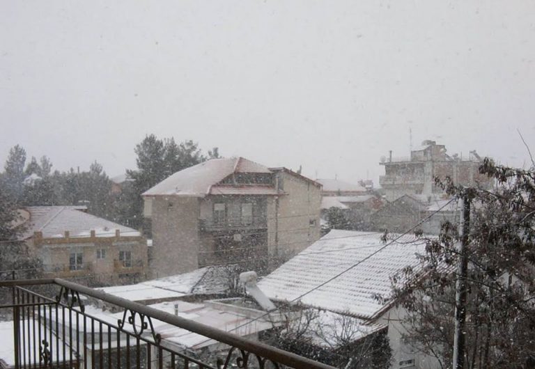 xioni marmara