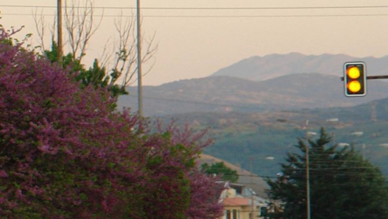 flamouria