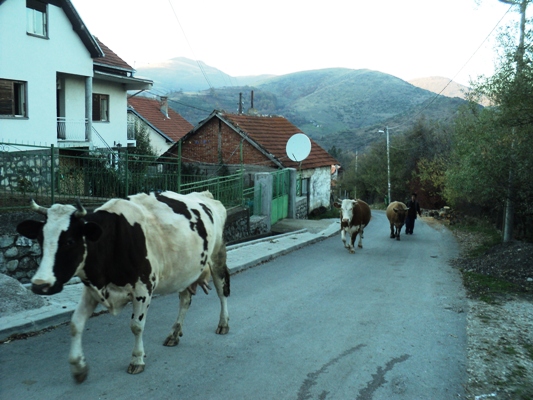agelades xorio