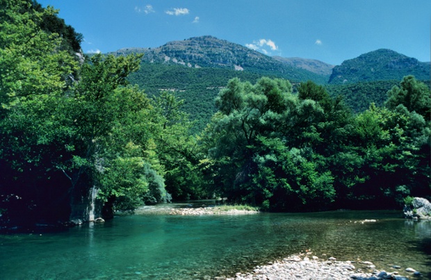 voidomatis