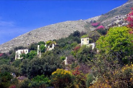 SAGIADA PALIA