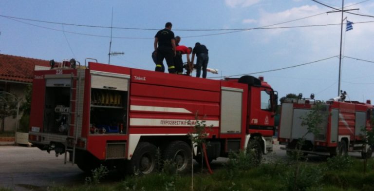 bounoplagia pir
