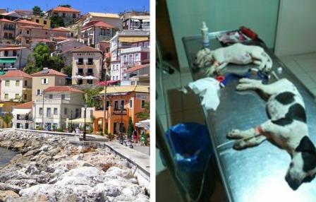 skilia parga