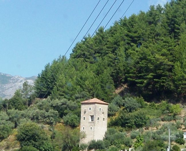 KOYLIA PARAMYTIA