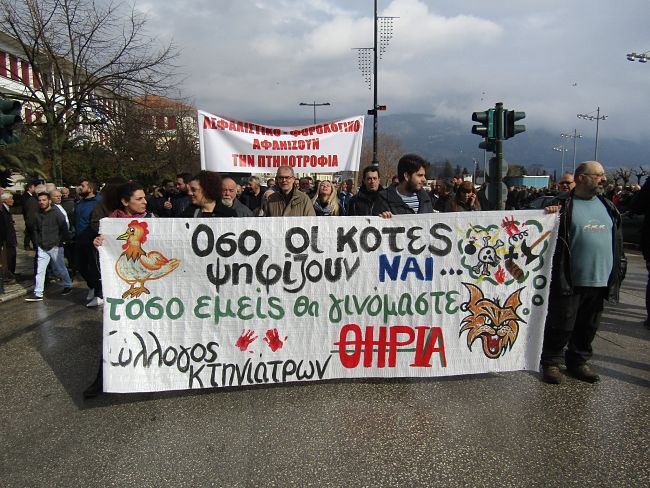 KOTES KTHNIATROI