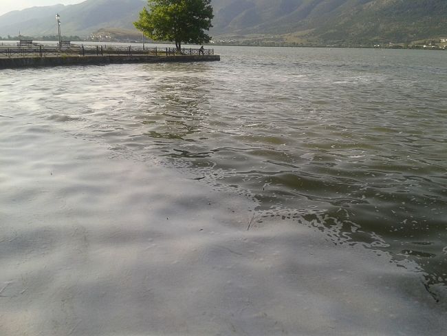 afri limni1