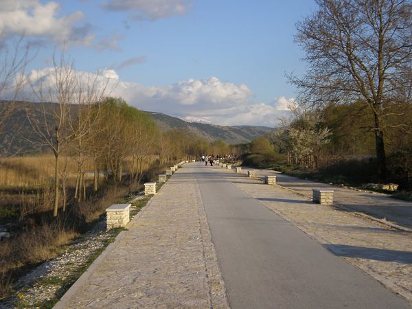 paral pezod