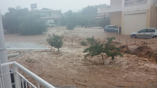 amauroudi1