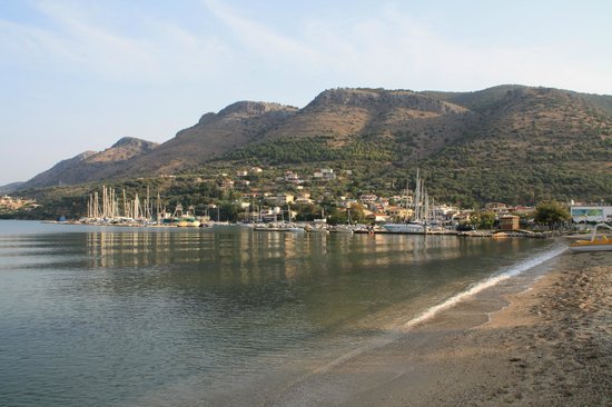 plataria marina