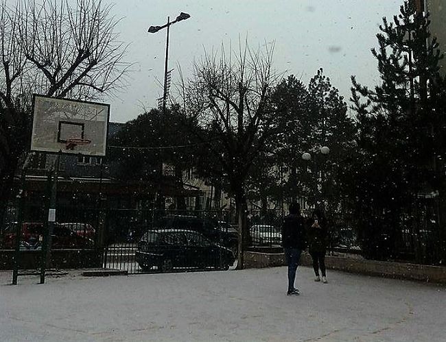 auli xioni
