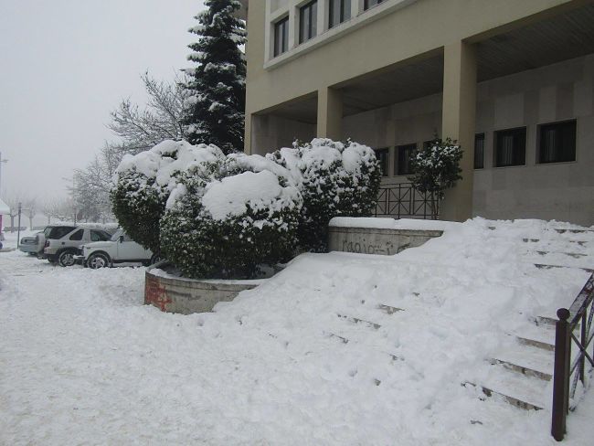 dikastiko xio2