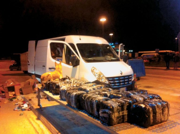 alvaniko fortigoxasis