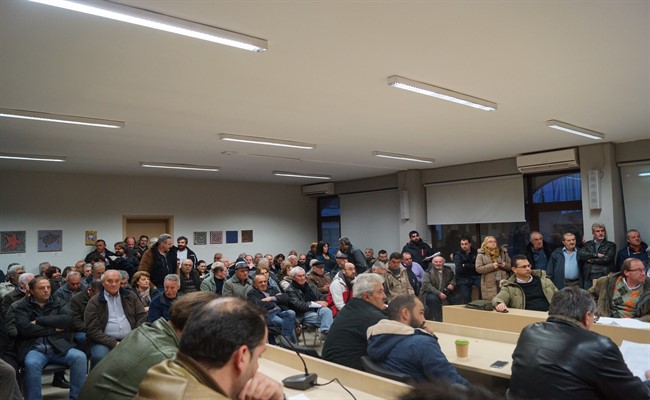 dzitsa dasxartes