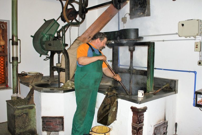 ergatis palio