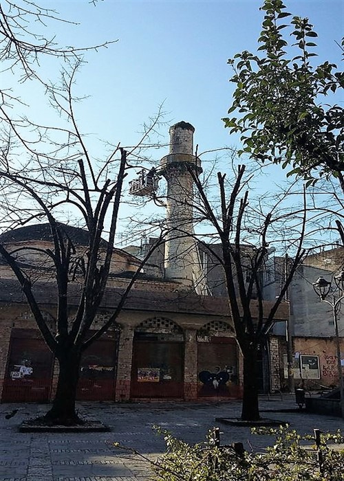 atzami pelargoi1