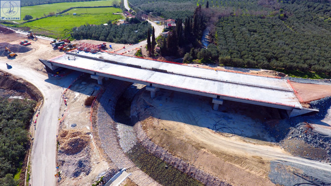 ionia menidi2