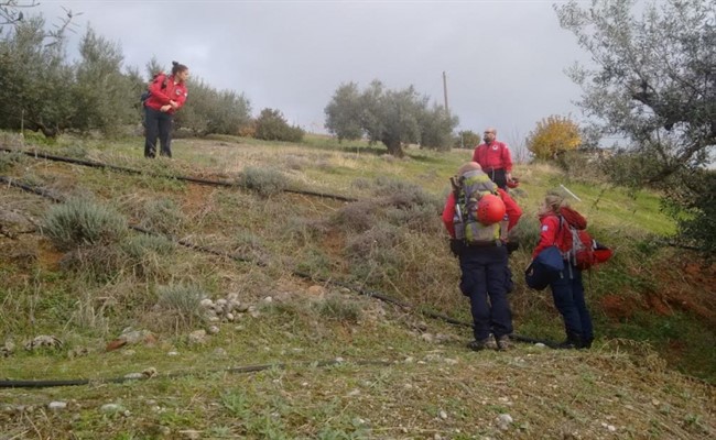 aereuna diasosi