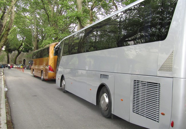 amolos p5
