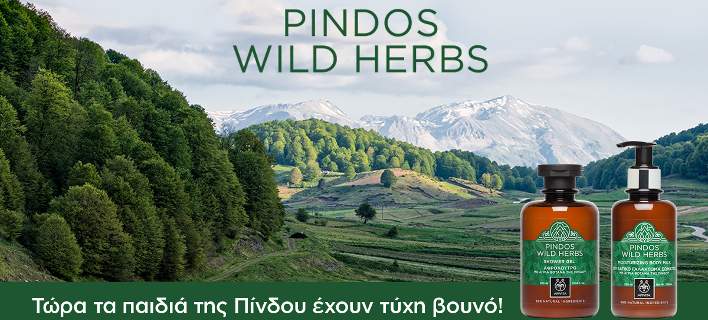 apivita pindos