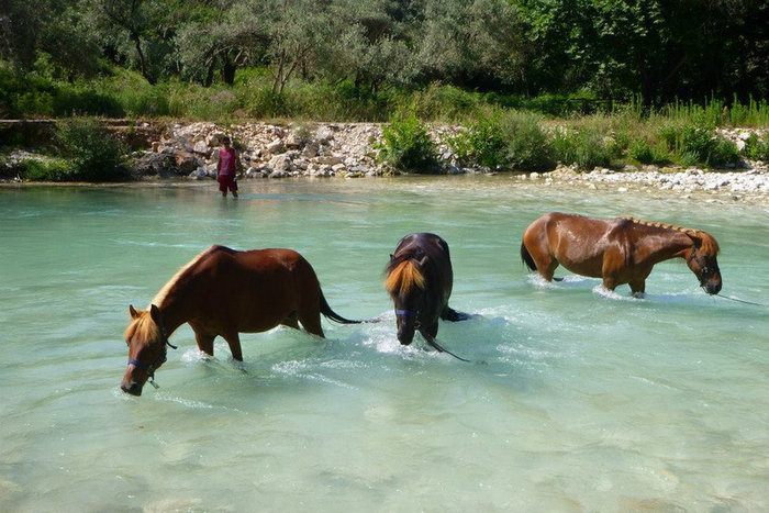 Τέλος οι βόλτες με άλογα στα νερά του Αχέροντα - EpirusPost