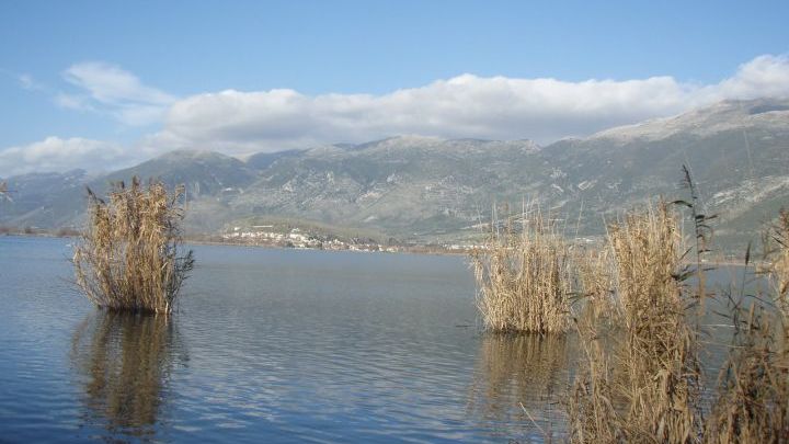 limni kalamia