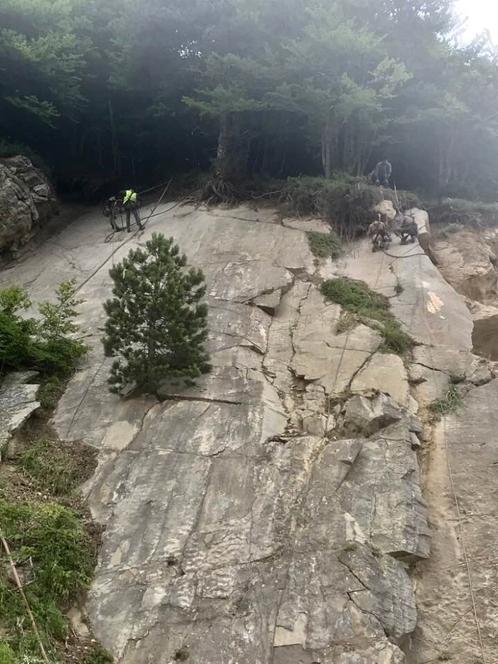 braxia et1