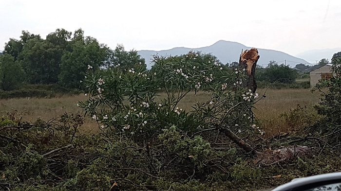 dentra preveza1