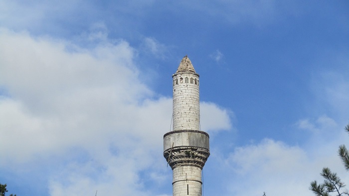 aslan tzami1