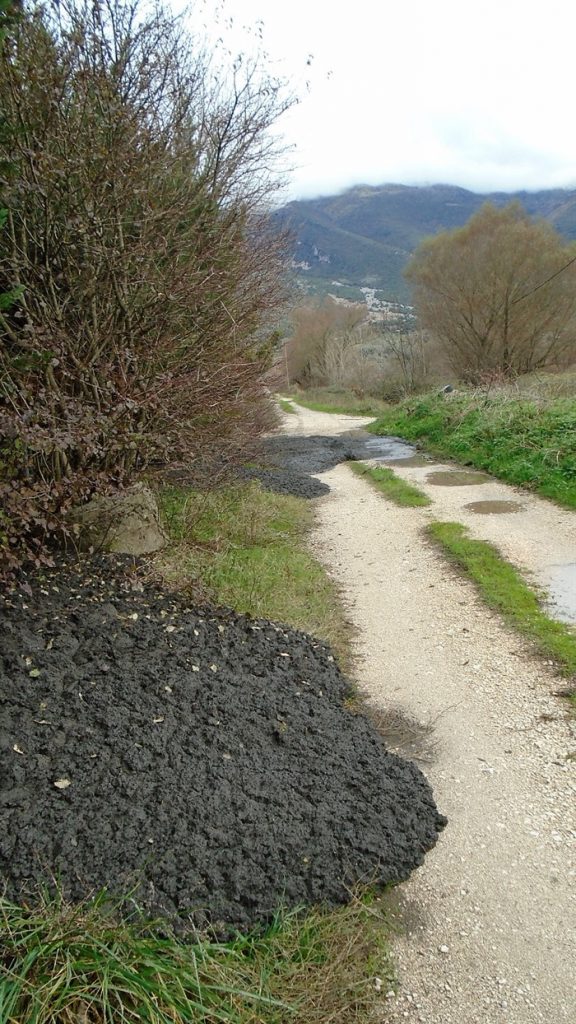 biologikos limatolaspi4