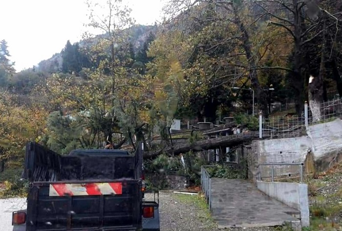brisi xelona2