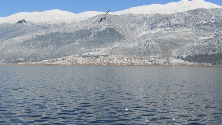 GIANNENA XIONI IANOYARIOS4