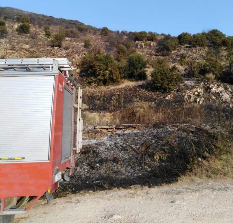 FOTIA KASTRITSA A2