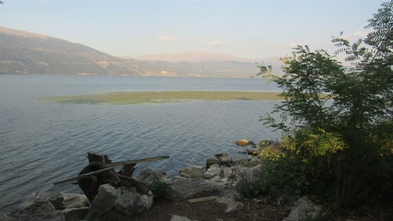 LAKE T4