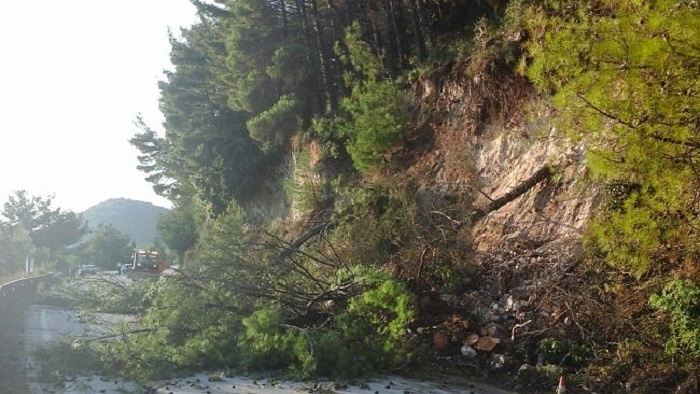 etniki metsovo n1
