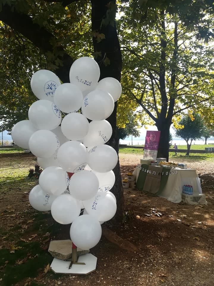 dimosios t219
