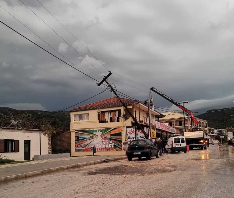 kolona sivota2