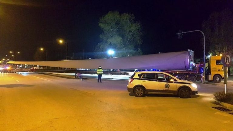 anemogenitria pterigio1