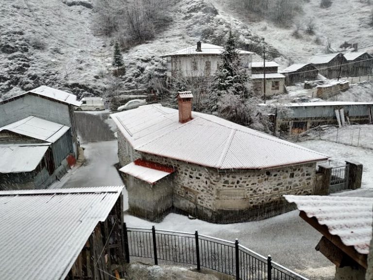 aprilios milia1