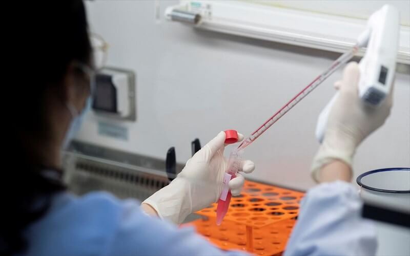 ergastirio mikroviologias