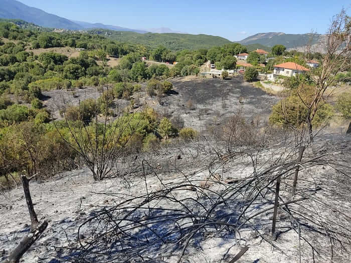 Οι φλόγες… άγγιξαν τα σπίτια στον Καταρράκτη.. 1 kataraktis5