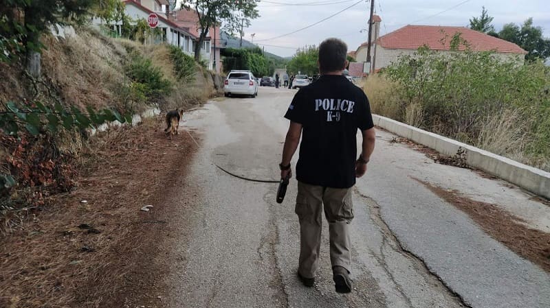 mirsini astinomikos skilos